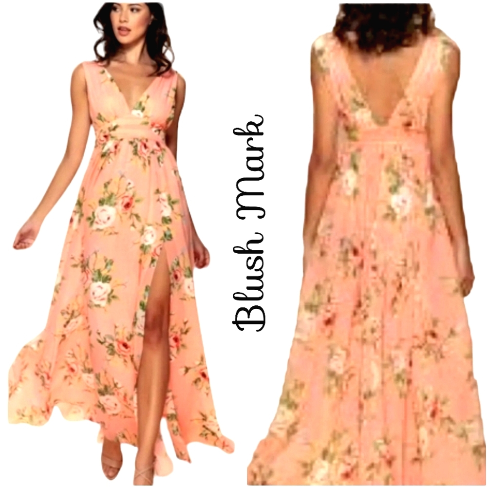 Nwt BLUSH MARK Versailles Peach V Neckline Pink Floral Maxidress